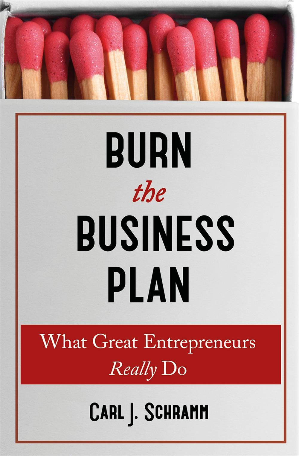 why-do-you-need-a-business-plan-to-start-a-business-ideabuddy