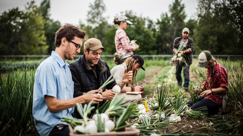 innovative startup ideas - farming courses