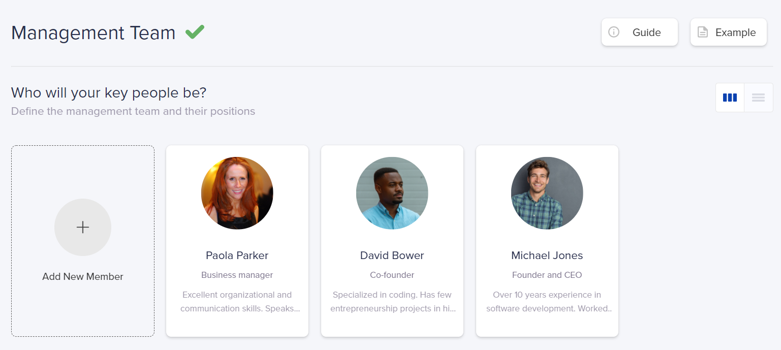 Management team - Snapshot from IdeaBuddy