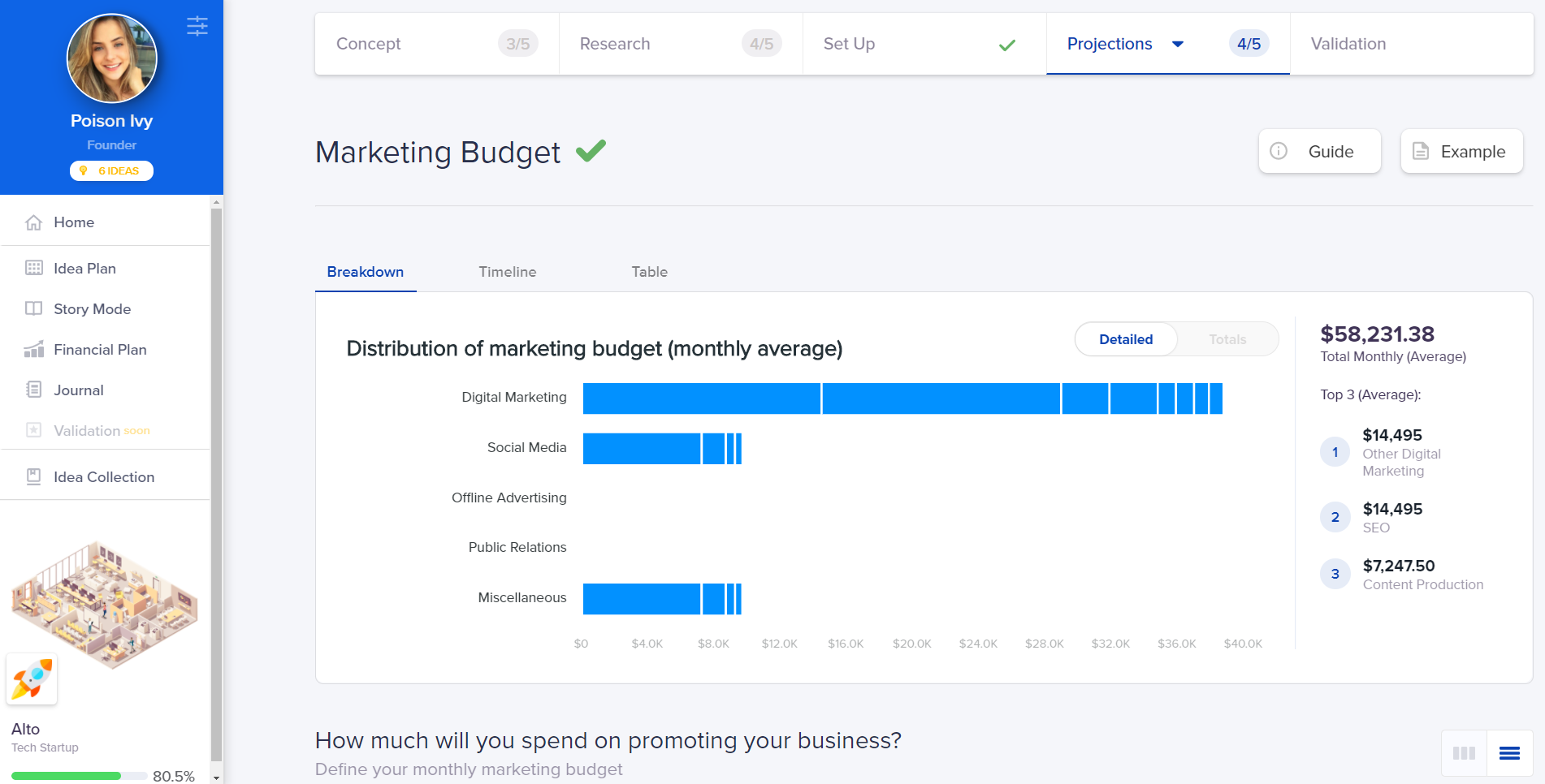 Marketing Budget - Snapshot from IdeaBuddy