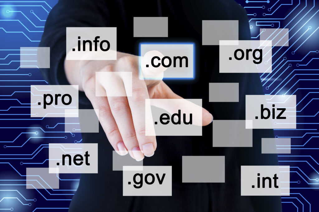 Flip domain names low cost business ideas